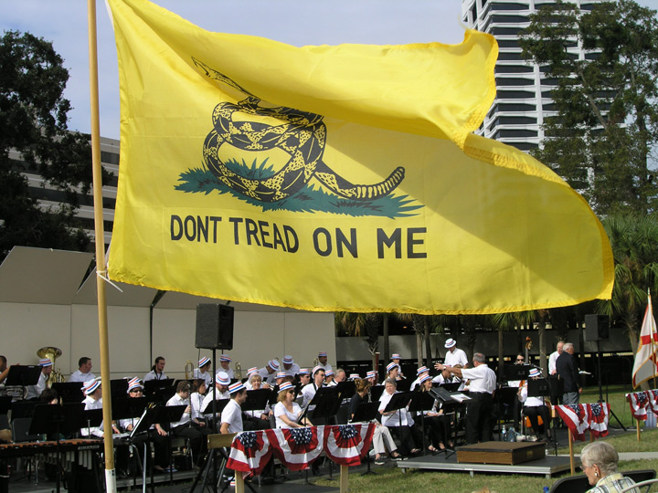 Don't tread on me flag